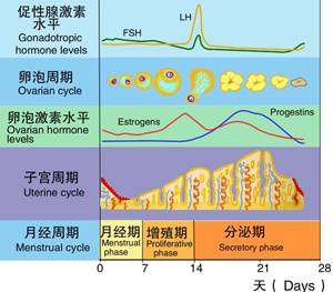 澳门太阳集团官网_昆州一煤矿发生冒顶事故已暂停部分生产